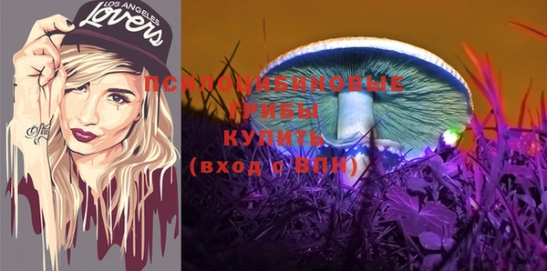 дурь Алексеевка