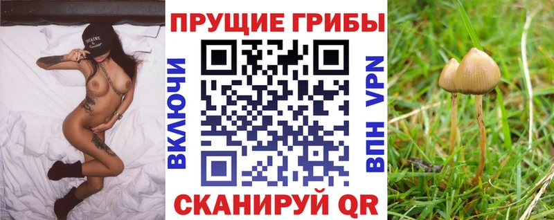 Галлюциногенные грибы Magic Shrooms  Анадырь 